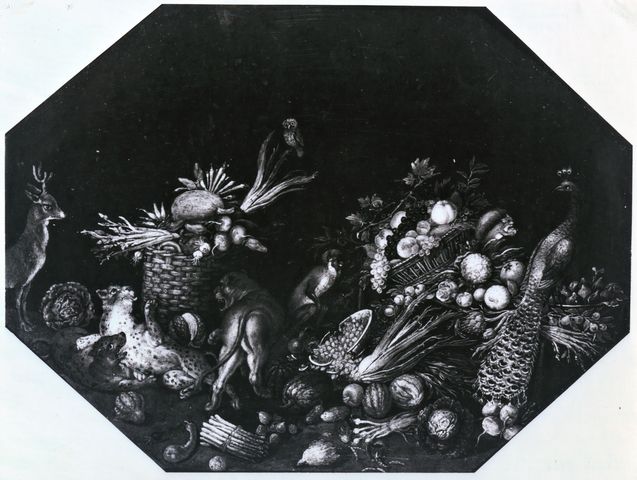 Anonimo — Verrochius Augustinus - ambito - sec. XVII - Natura morta con frutta, ortaggi e animali — insieme